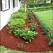 Flowerbed & Shrub Maintenance